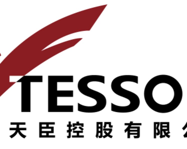 Tesson Holdings Limited Launches "Tesson Smart Energy" Strategy to Accelerate Industrial Deployment of New Energy Ecosystem in Mainland China and Hong Kong