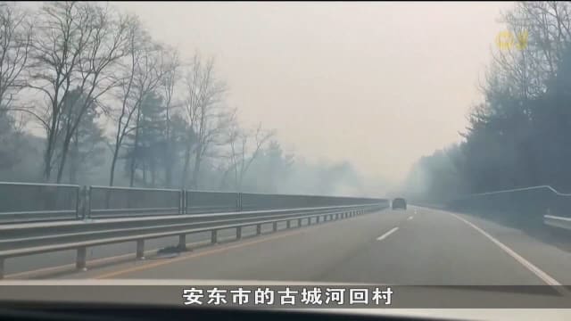 韩国林火连烧五天 死亡人数攀升到至少18人