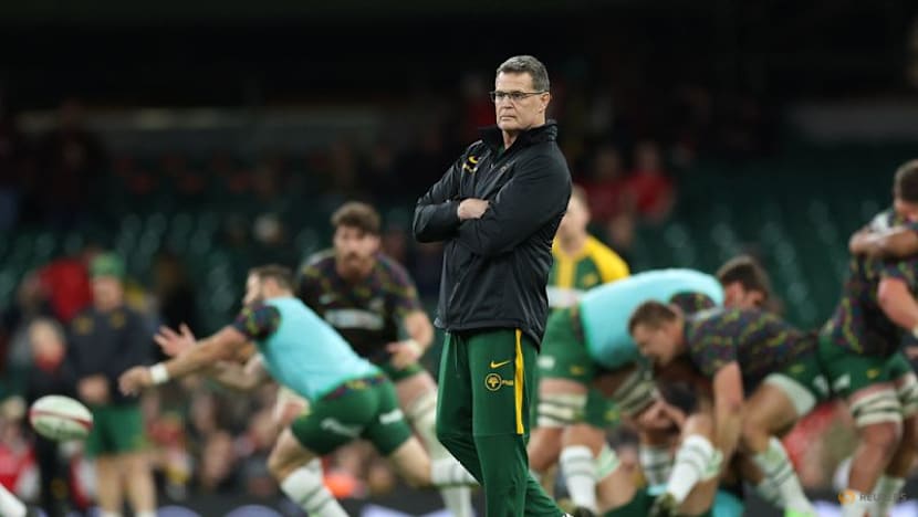 Du Toit hails record-breaker Erasmus ahead of Scotland clash