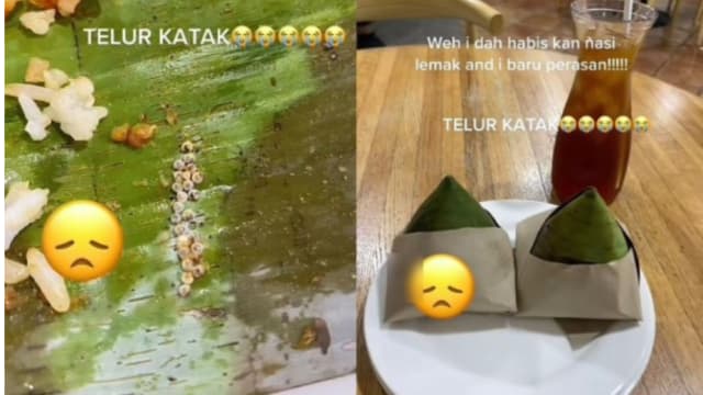 吃完椰浆饭发现青蛙卵 马国女子当场崩溃