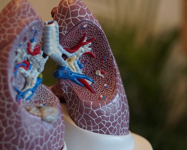 Why body fat deep below the surface is a toxic risk, especially for your heart
