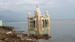 Related article image
