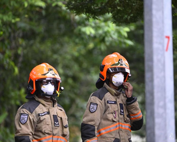 Two people taken to hospital after ammonia detected at Fishery Port Road compound