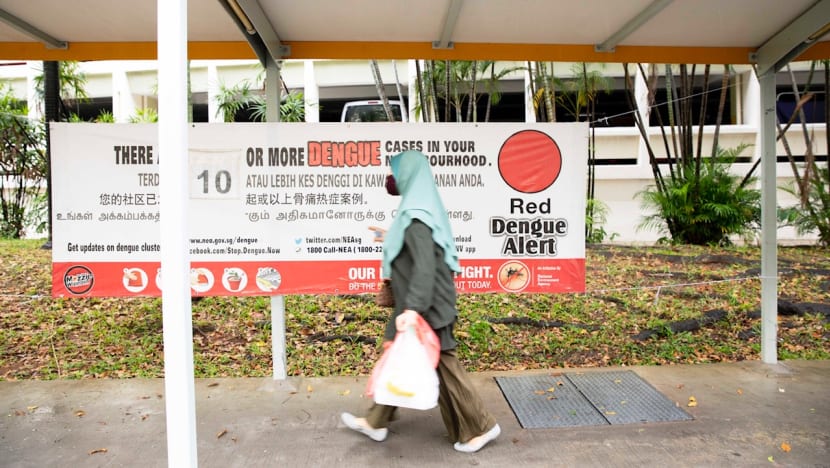 Singapore's dengue cases lower than in 2020 but Aedes mosquito population is increasing: NEA
