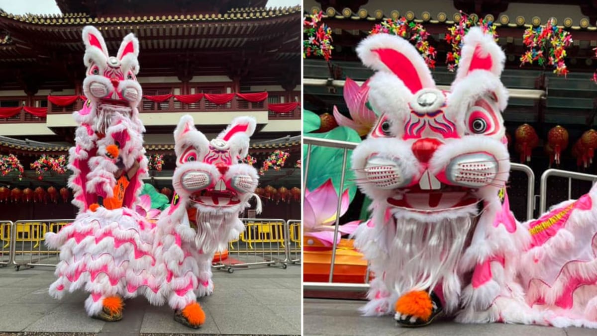 S'pore Lion Dance Troupe Trots Out Adorable Rabbit-Themed Lion Dance For  Year Of The Rabbit - TODAY, image size:1200x676