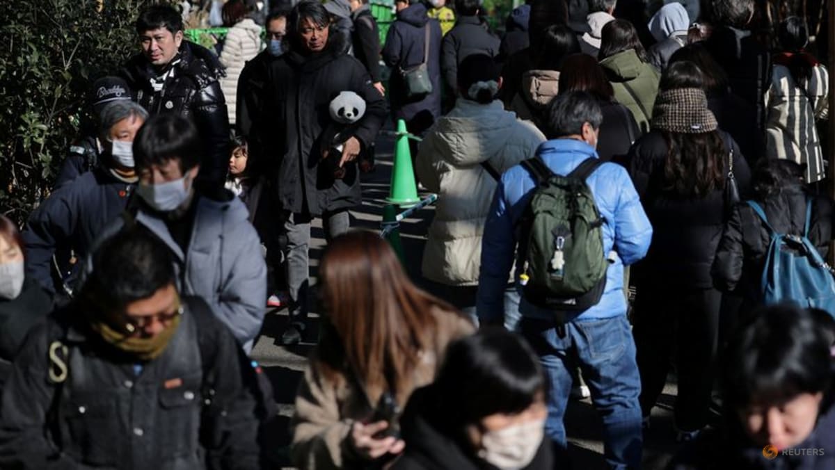 중국으로 떠나기 전, 판다를 보기 위해 도쿄 동물원에 모인 군중들