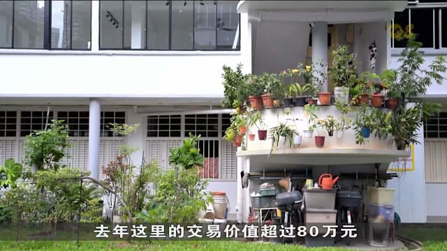 情系中峇鲁老组屋 居民拒百万报价守护数十载回忆