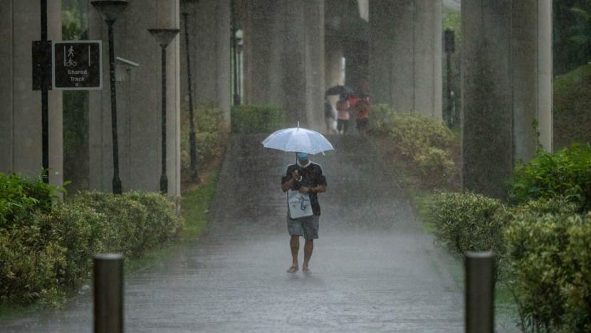 More wet weather for rest of October with monthly rainfall set to be 'well above average': Met Service