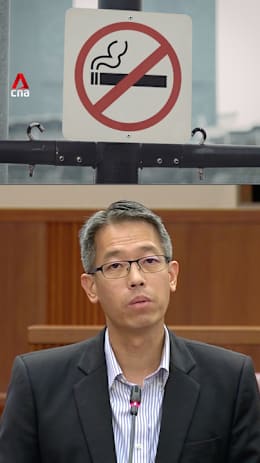 Gerald Giam raises HDB complaints about smoking neighbours