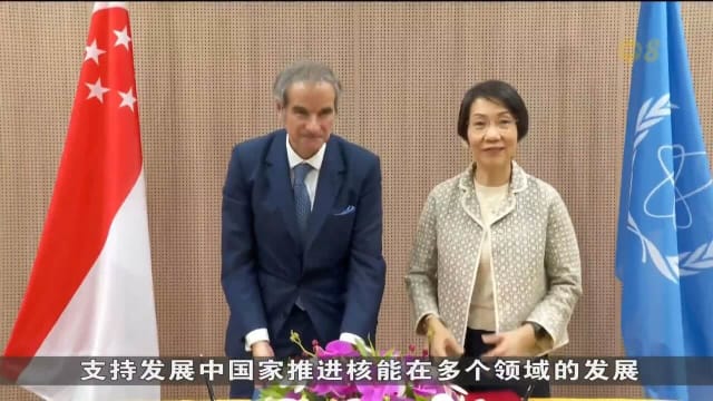 傅海燕：我国支持国际原子能机构 为国际社群打造核科技的安全