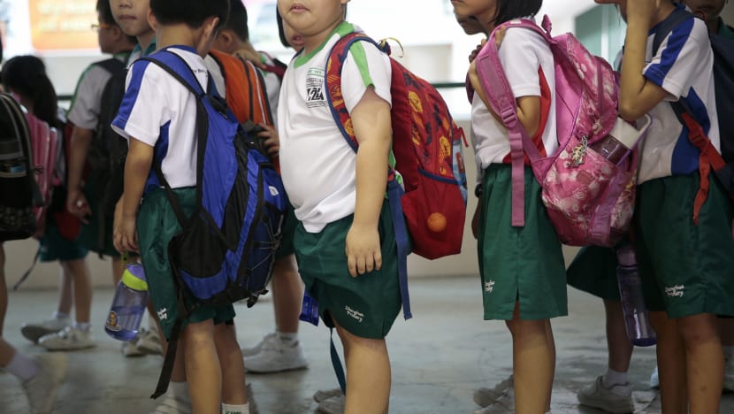 Increase in school fees for PRs, international students for next 2 years, no change for Singaporeans: MOE
