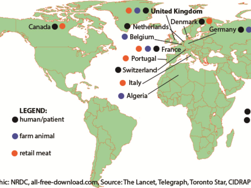A map detailing where colistin-resistant bacteria have been detected. Source: Carmen Cordova/Natural Resources Defense Council A map detailing where colistin-resistant bacteria have been detected. Source: Carmen Cordova/Natural Resources Defense Council