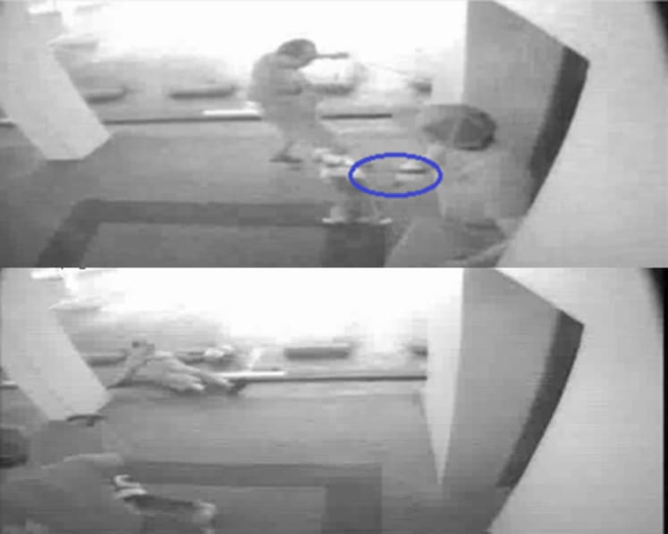 Man fell and injured brain after being shocked by neighbour's dog exiting lift, daughter sues but fails