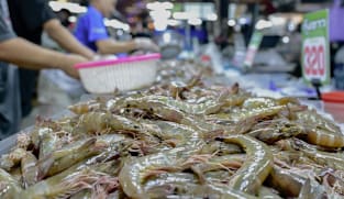 ‘Protectionist instincts’: Seafood traders caught in Thai-Malaysia row over shrimp, seabass exports