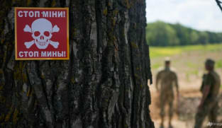 Which countries are quitting a key landmine treaty and why?