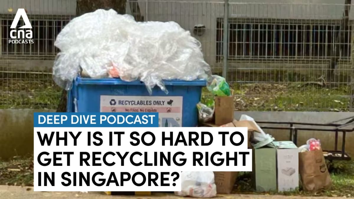 Deep Recycle Deep Dive - Why is it so hard to get recycling right in Singapore? - CNA