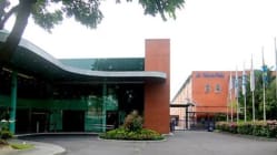 Related article image