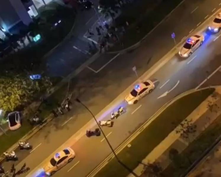 Driver flees from police, sparking high-speed chase before crashing into tree at Canberra Street