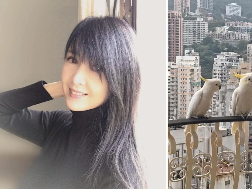 Vivian Chow&rsquo;s Home Has Become A Hangout For HK&rsquo;s Endangered Parrots