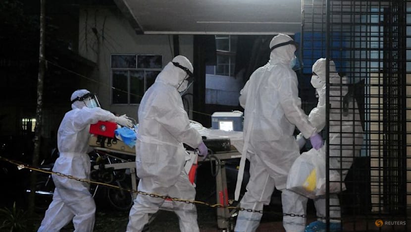 WHO says Nipah virus risk low in India with no sign of spread