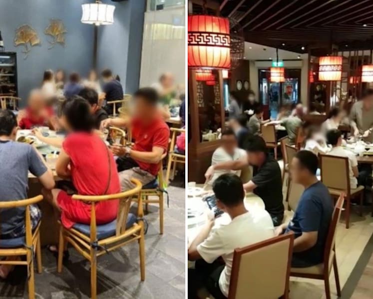 Govt suspends, fines 11 eateries for flouting Covid-19 rules; Banana Leaf Apolo to be charged in court