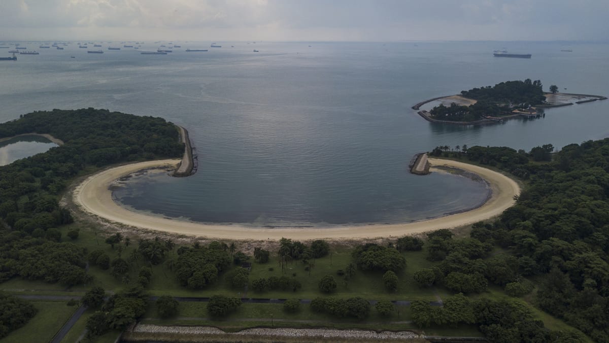 12 people to be charged with breaching safe distancing measures for group  outing to Lazarus Island - TODAY