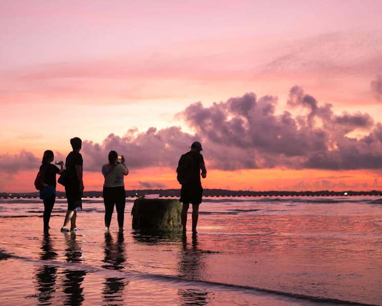Eco enthusiasts, assemble: 5 highlights at Go Green SG to block your calendar for