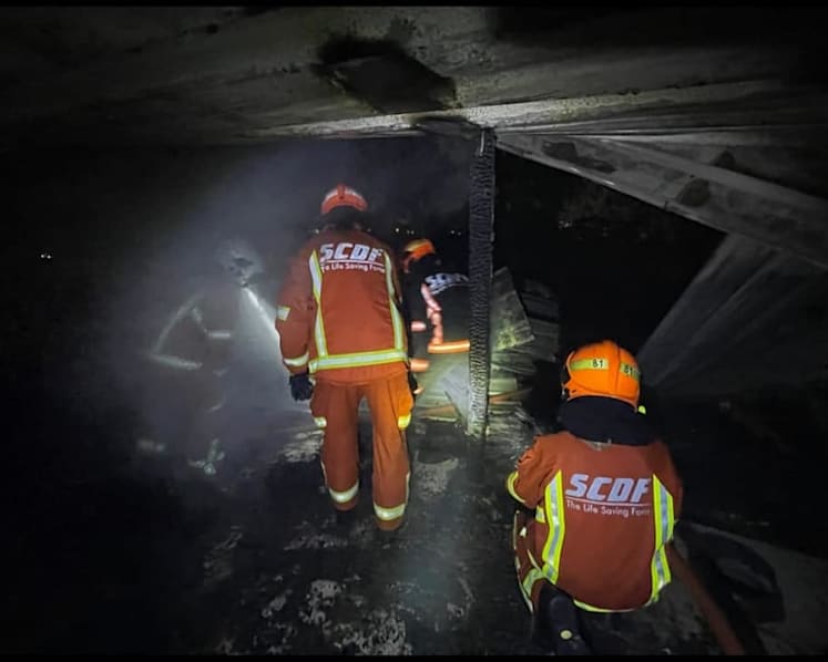Kusu Island fire not deliberately started, says SCDF after preliminary investigation 