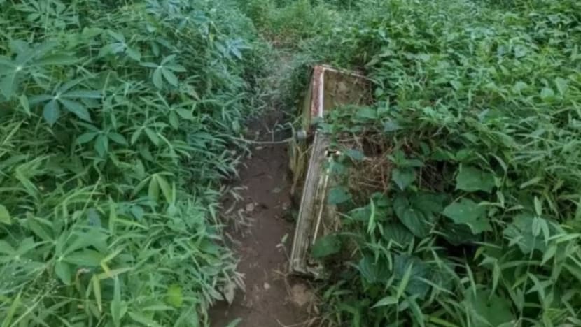 Peti sejuk di Hutan Clementi tidak dibawa keluar akibat salah komunikasi antara agensi, dedah Sim Ann