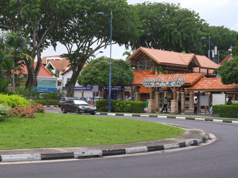 Serangoon Garden, Jalan Kayu, Holland Village to be preserved