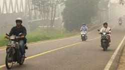 Kebakaran hutan, jerebu Indonesia burukkan masalah pernafasan di Kalimantan