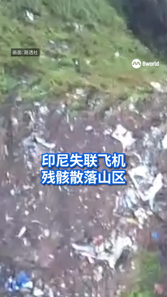 载有十人印尼小型飞机坠毁山区 已寻获一具遗体