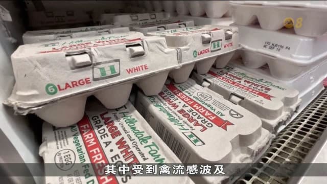 美国1月CPI同比增长3% 美联储或推迟降息