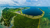 Commentary: NDR 2026 – if Singapore can plan 50 years ahead for infrastructure, can it do the same for nature?