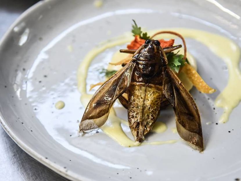 Food of the future? Five-star edible insects served up as Thailand gets creative with bug business