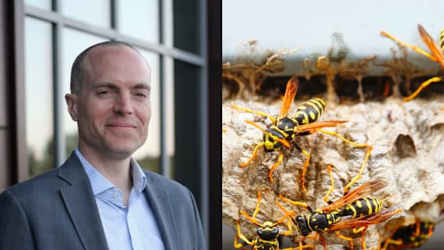 玩滑索遇巨型黄蜂群攻击  美国父子被蜇逾百次双双丢命