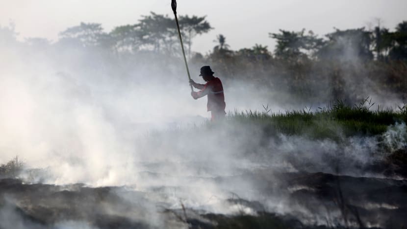 Progress on haze monitoring system slow: Balakrishnan