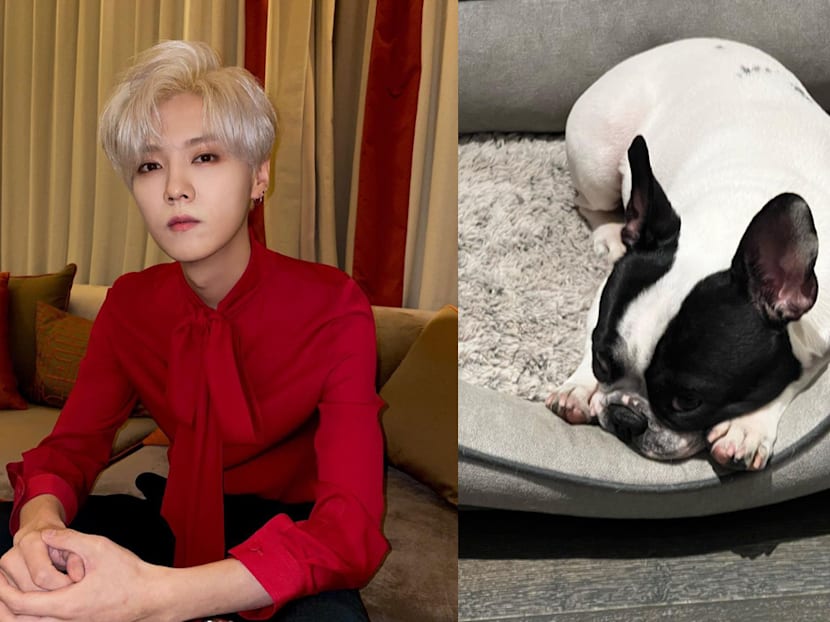 Lu Han Posts Pic Of His Dog After Clip Of Him Allegedly Drunk Goes Viral; Netizens Think He's Targeting The Paparazzi