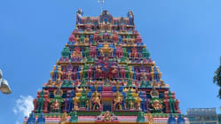 Related article image