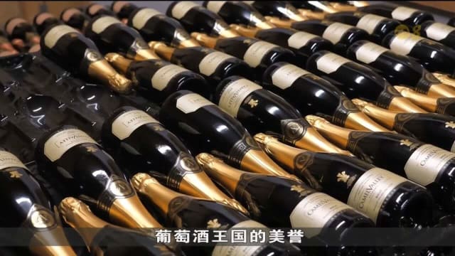 全球气候变暖 哪个种类的葡萄用来酿酒更好？