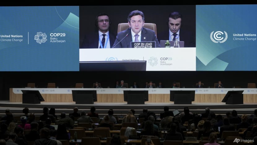 How significant is the US$300 billion COP29 climate deal for developing countries? How significant is the US$300 billion COP29 climate deal for developing countries?