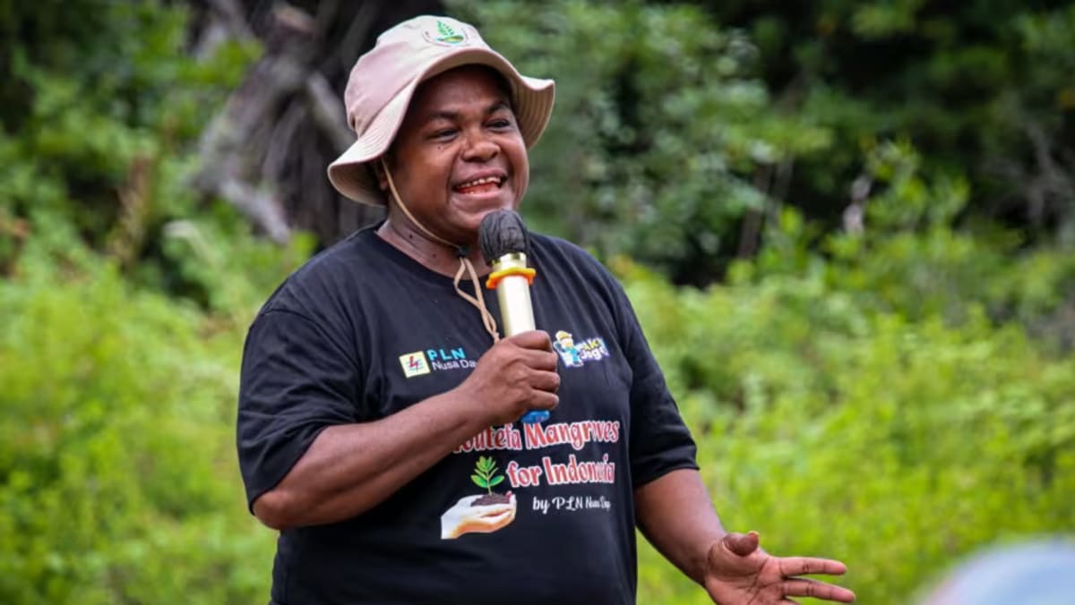 Indonesian mother of six aims to keep Papuan tradition alive by saving mangroves in women-only forest Indonesian mother of six aims to keep Papuan tradition alive by saving mangroves in women-only forest