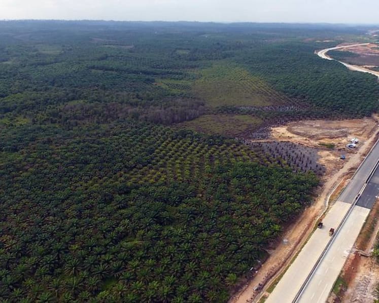 Indonesia minister announces name of new national capital in eastern Kalimantan