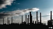 France unveils plan to ditch all fossil fuels by 2050