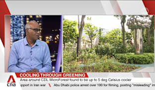 Regenerative microforest at City Square Mall found to have cooled surrounding areas