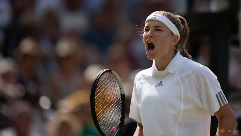 On Wimbledon's lawns, Czech excellence blooms again