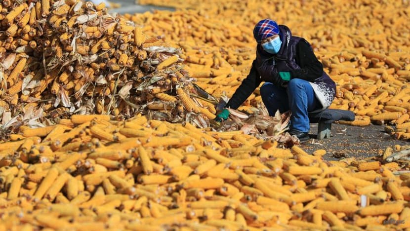 More Kazakh agricultural exporters complain of issues with transit to Russia More Kazakh agricultural exporters complain of issues with transit to Russia