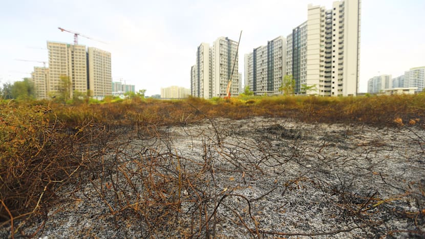 Fire breaks out at Punggol field