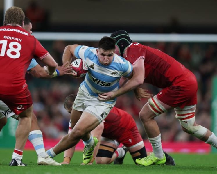 Argentina snuff out Welsh hopes of debut win for new coach