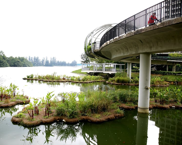 Biodiversity thriving on artificial Punggol waterway